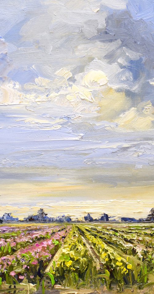 Last bulbs by Sonja Brussen