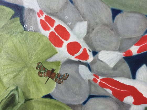 KOI FISH IN A POND