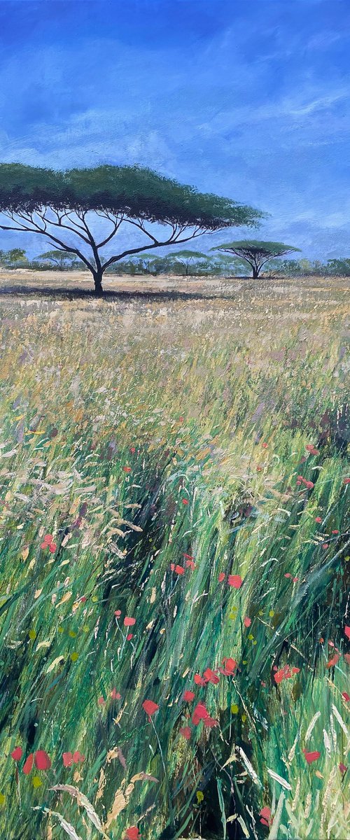Acacia with Poppies by Simon Jones