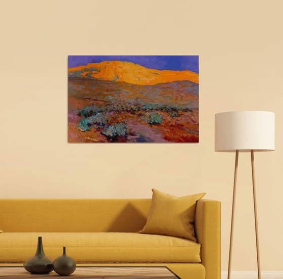 Sunset in the Desert. Arizona