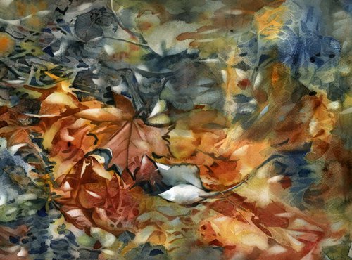 Autumn leaves in water by Alfred  Ng