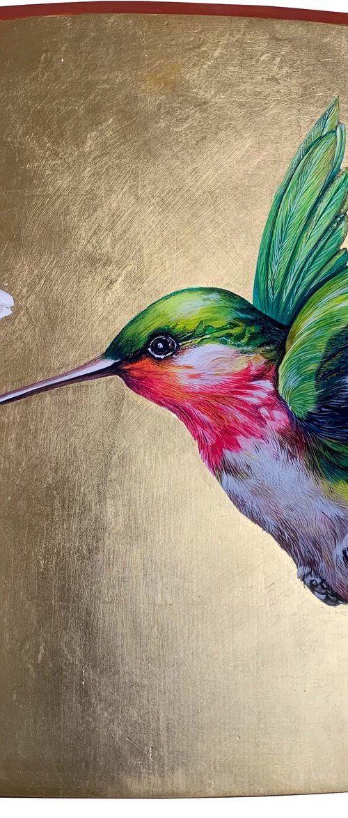 colibrì by Gabriella Tundo