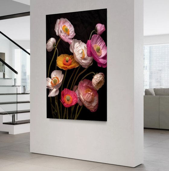 Poppies 85