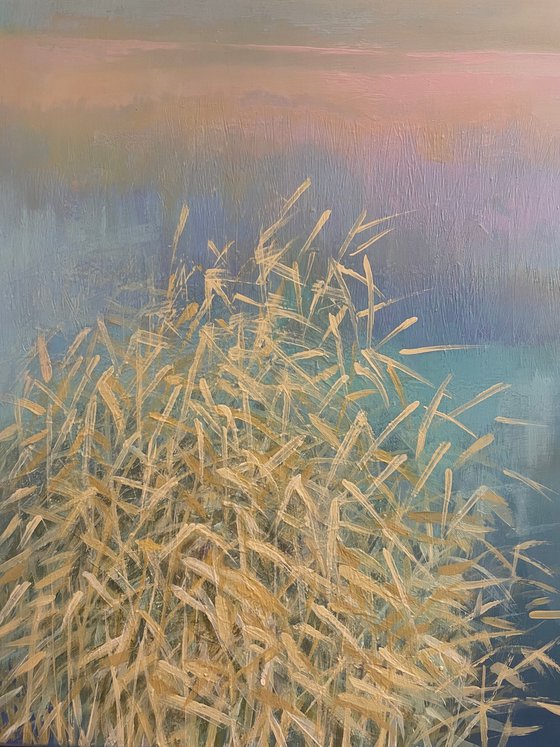 Daybreak Over Still Water