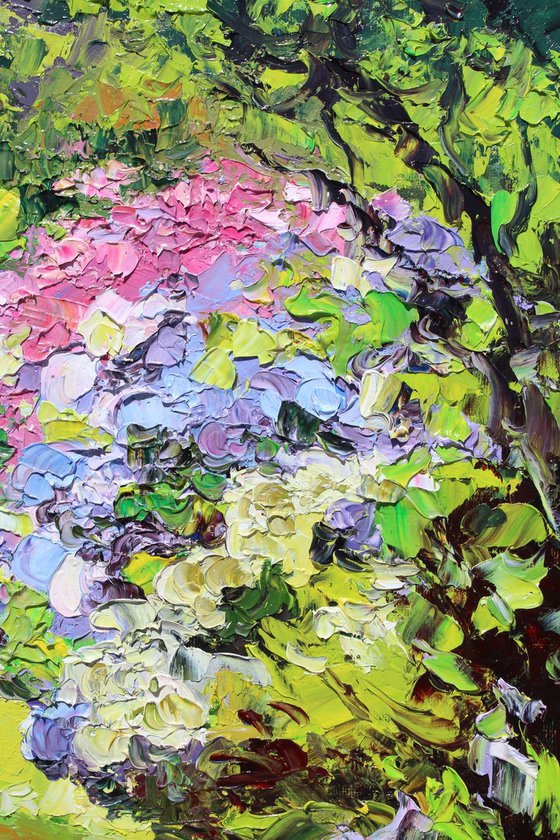 Garden Hydrangeas