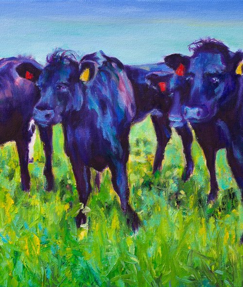 Black Angus Beauties by Liudmila Pisliakova