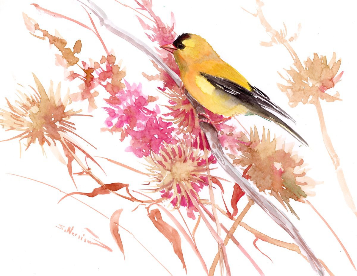 American Goldfinch and field flowers by Suren Nersisyan