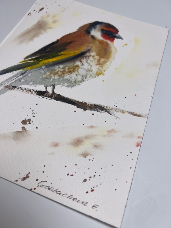 Goldfinch #2