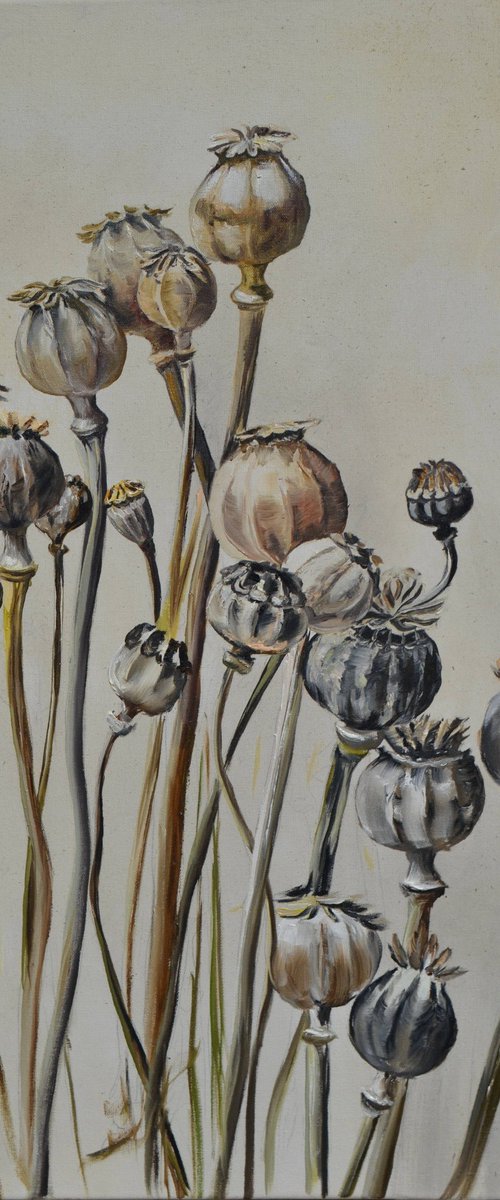 Pastel Poppy Pods by Valeriia Radziievska
