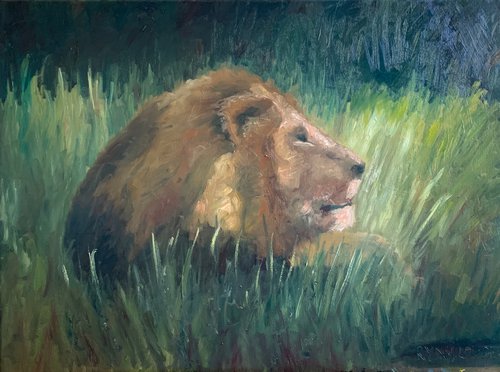 Lion In The Grass by Ryan  Louder
