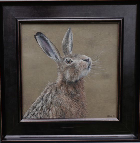 Portrait of a Hare III