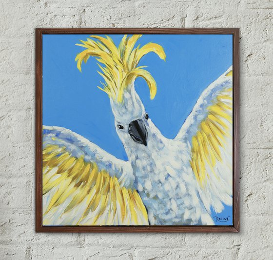 Party Cockatoo