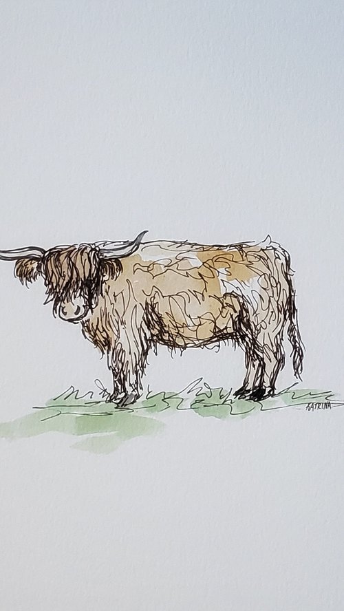 Wildlife - Cows - "Highlander" by Katrina Case