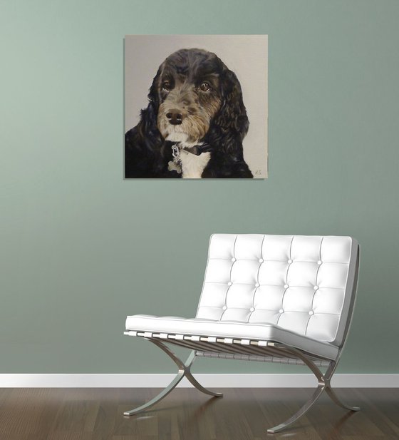 Cockapoo Dog Portrait