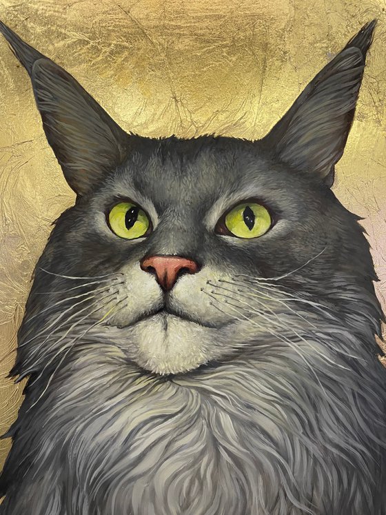 Maine Coon Simon