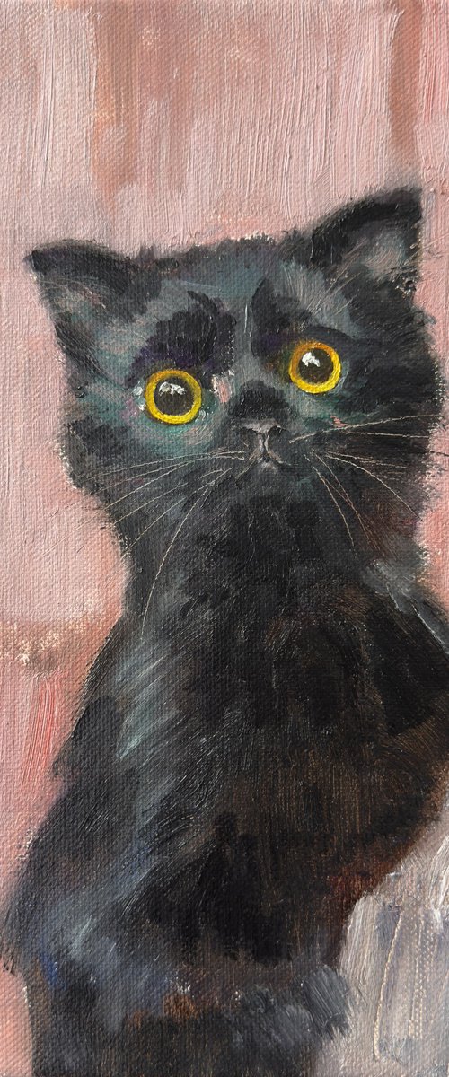 Little black cat by Olha Laptieva