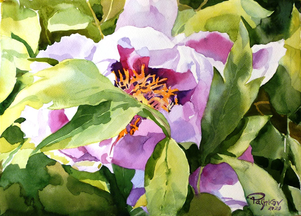 Impressionistic Botanical Watercolour By Yurii Pashkov, 15 X 11", Peony Flower#2, Original Artwork