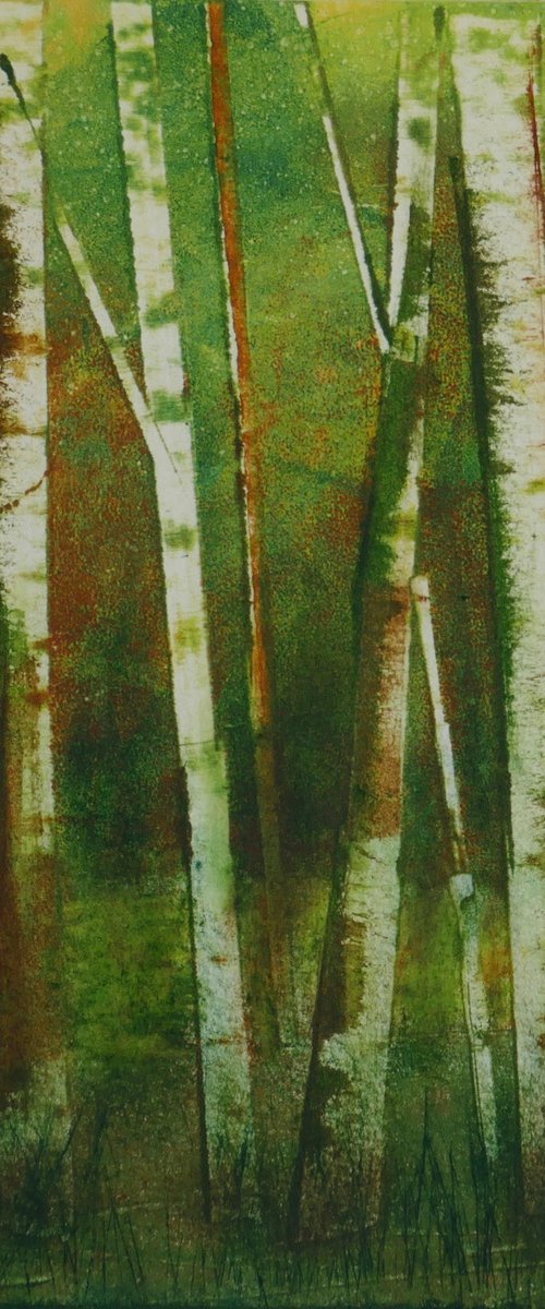 A Spinney by Sue  Roe