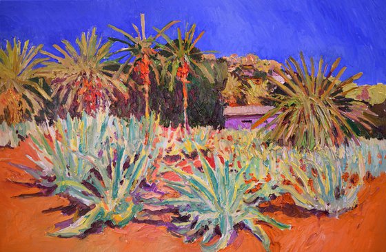 Agaves and Palm Trees, California