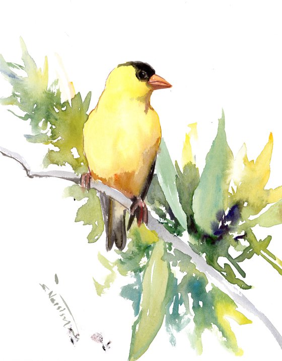 American Goldfinch and Flowers