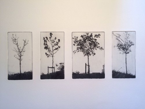 Group of four trees by Richard Kaye