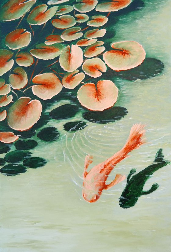 Pond - Water Lilies and the koi