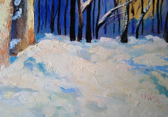 Poplars on a sunny winter day