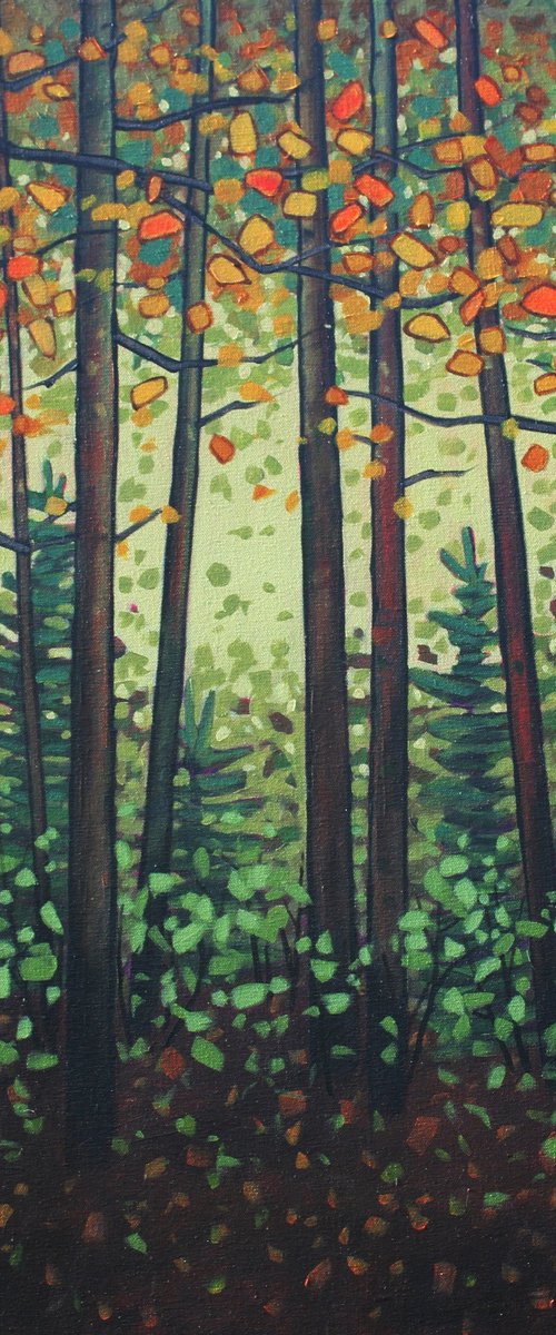 Autumn Woodland by Sage Mountain Studio