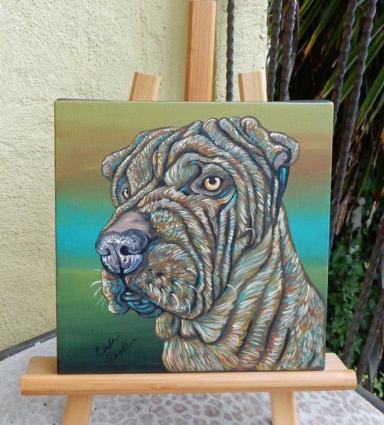 Shar-Pei