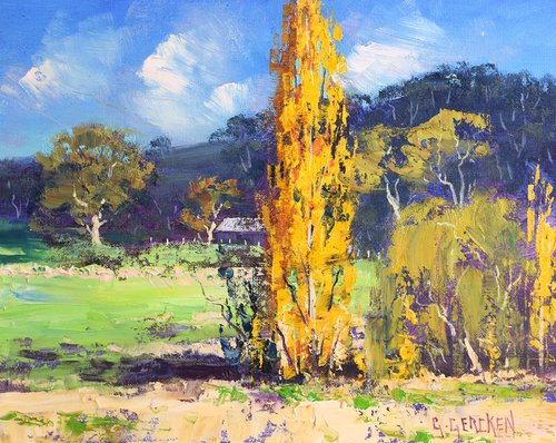 Autumn Poplar Tree by Graham Gercken