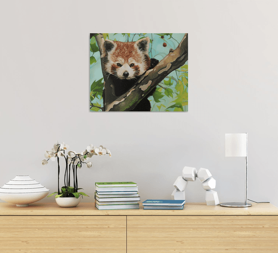 Red panda on tree branch