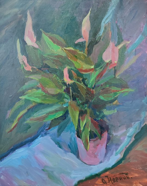 Tender Bloom