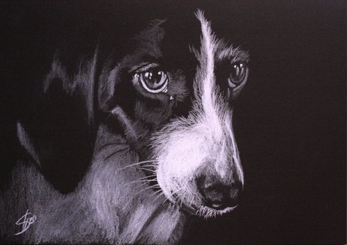 Portrait of dog 2 /  ORIGINAL PAINTING by Salana Art Gallery
