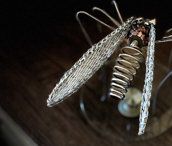 Mosquito
