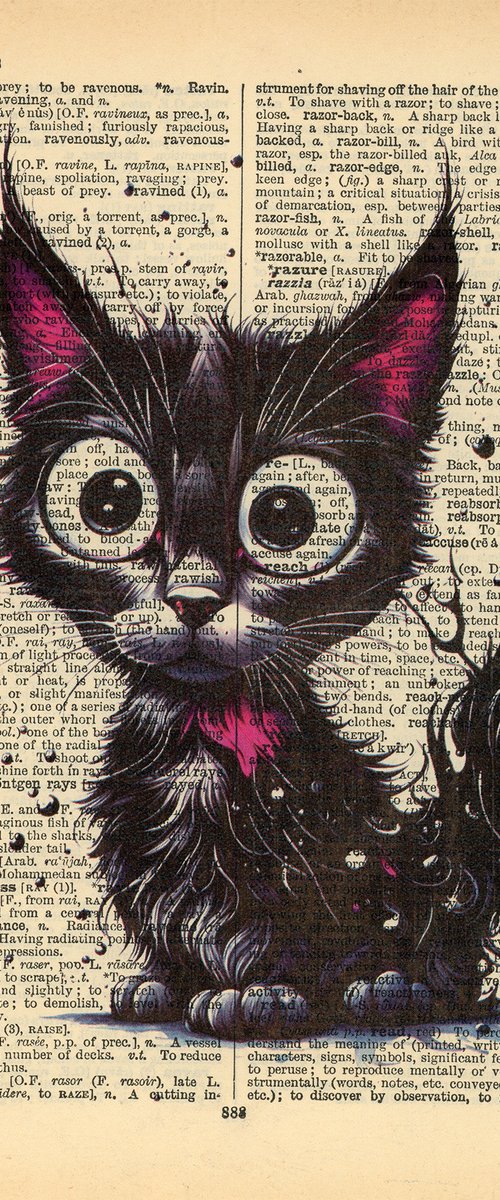 Funny Black Cat by Misty Lady - M. Nierobisz