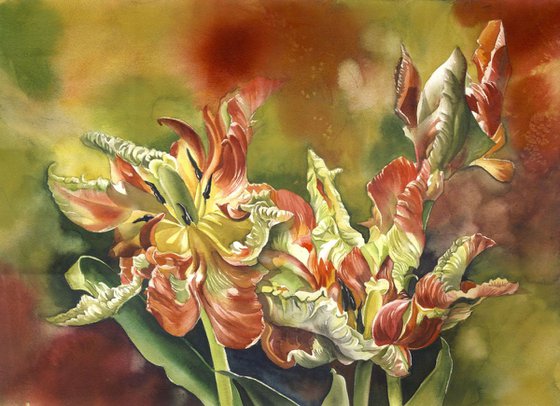Parrot tulips with red