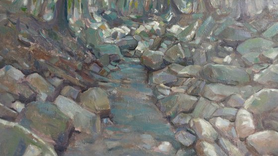 Where Water Finds Its Way