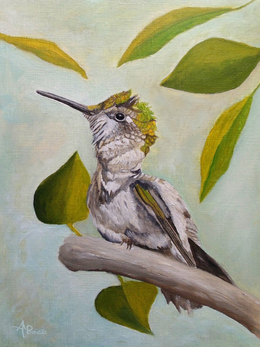 Impressionistic Animal Oil Painting By Angeles M. Pomata, 10 X 13, Ruby-Throated Hummingbird, Original Artwork