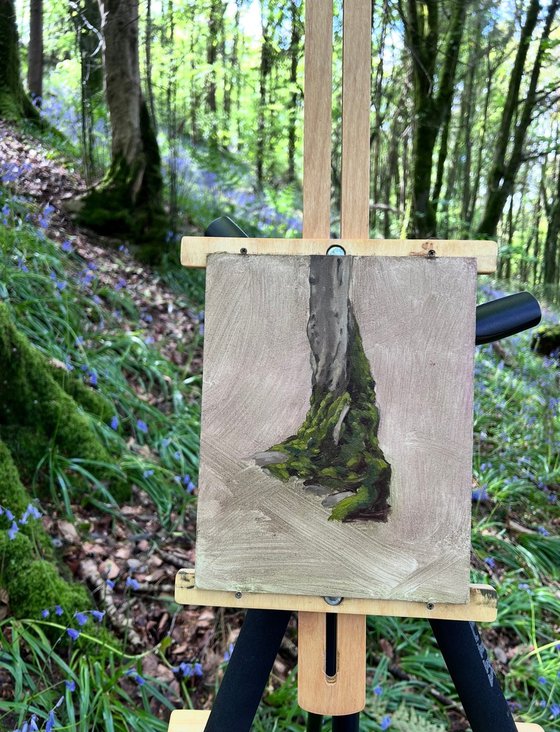 The tree and the bluebells