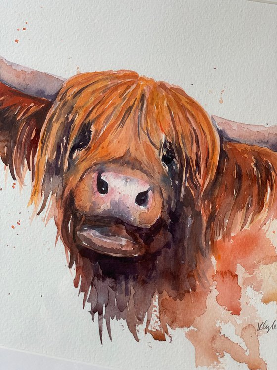 Highland Cow Watercolour