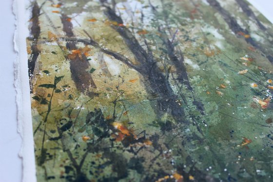 Captured Breath of Autumn Evening