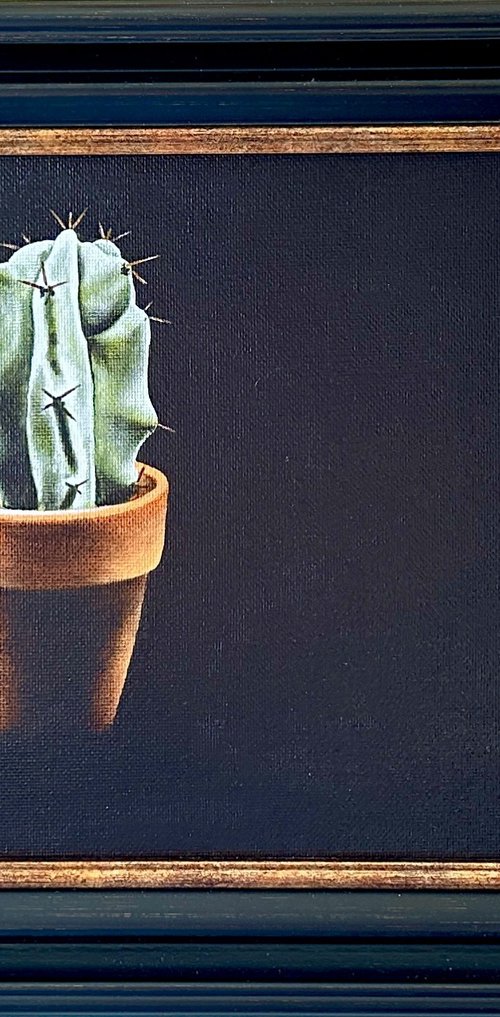 Cactus by Kaz Jones