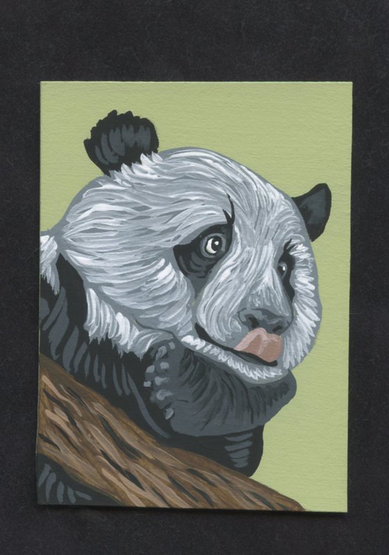 ACEO ATC Original Miniature Painting Panda Bear Wildlife Art-Carla Smale