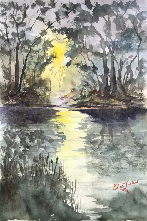 Sunlight on the pond by Brian Tucker