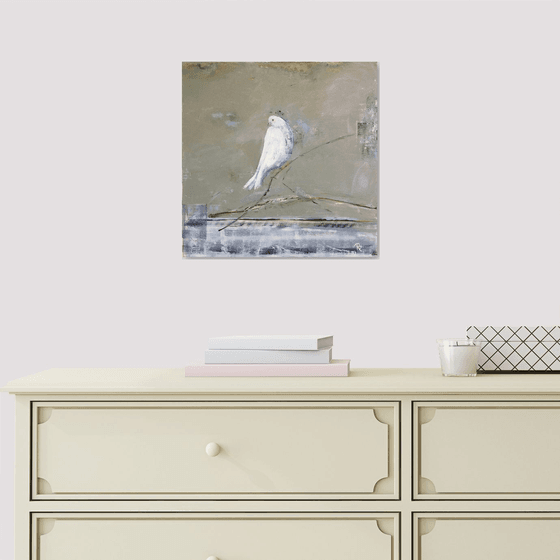 White, White Dove