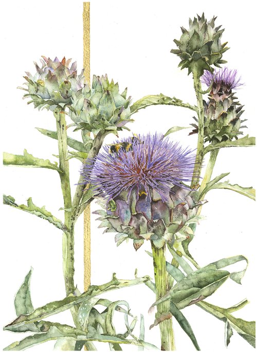 Artichokes and Bees by Vivienne Cawson