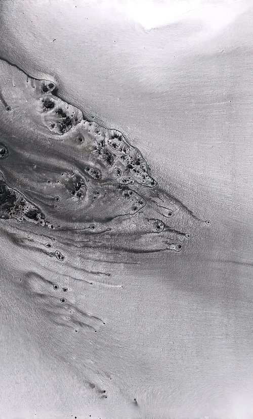 Nature 533 by Muriel Napoli