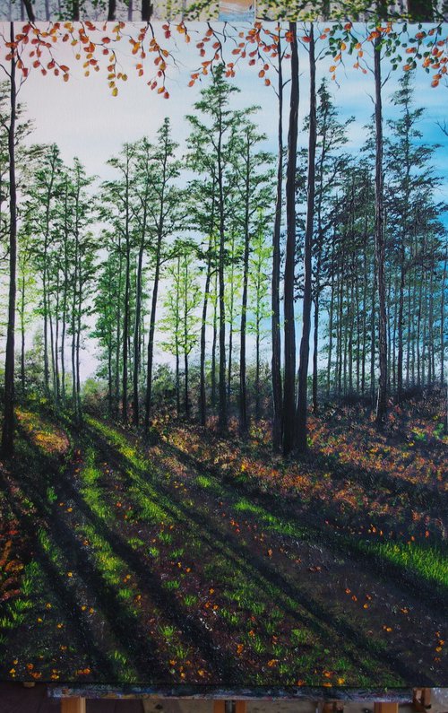 Startling Afternoon shadows. by Hazel Thomson