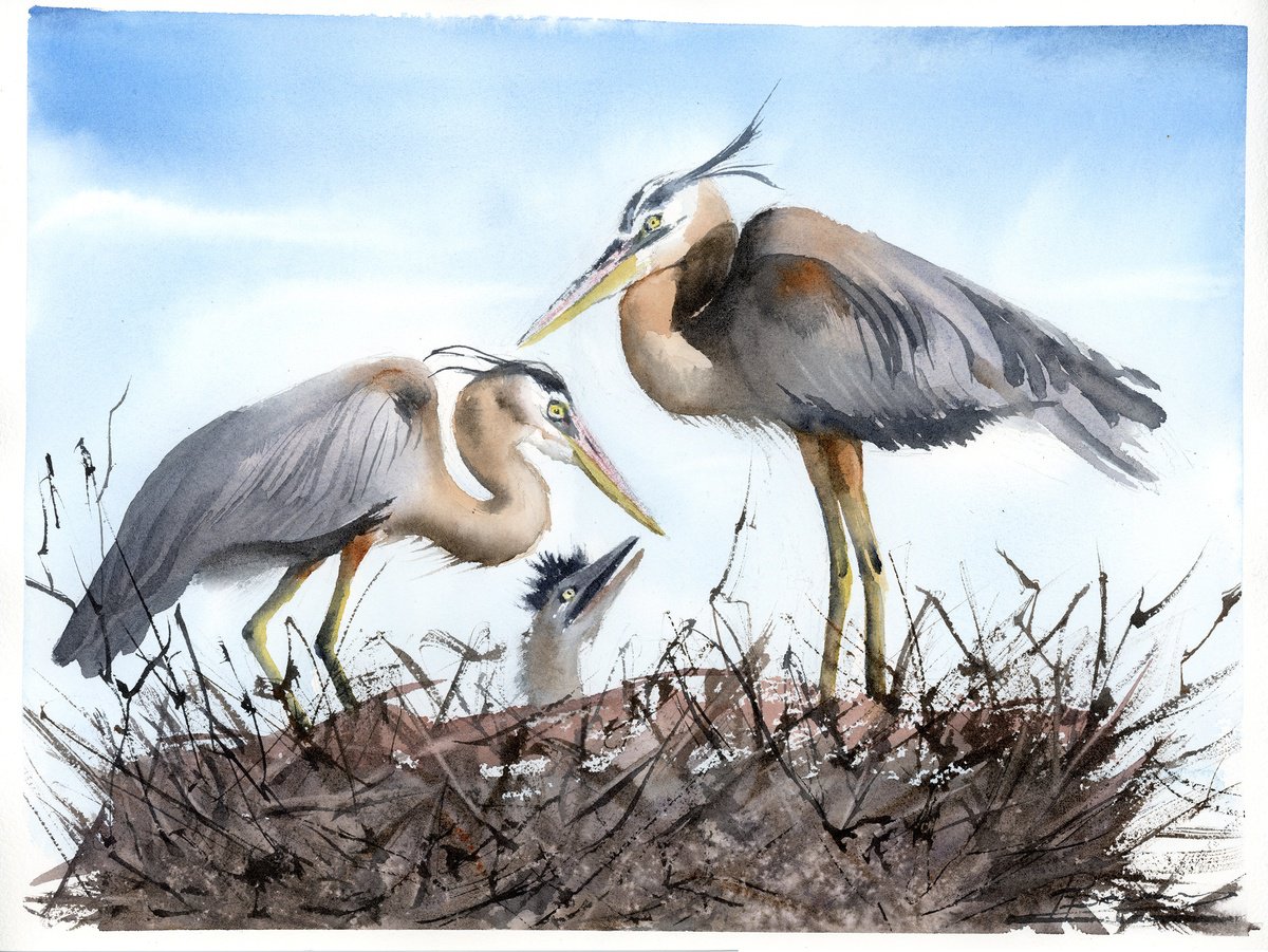 Impressionistic Animal Watercolour By Olga Tchefranov (Shefranov), 15 X 11", Heron Family #3, Original Artwork