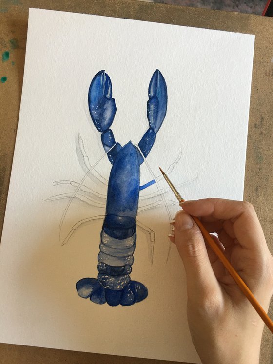 Blue lobster